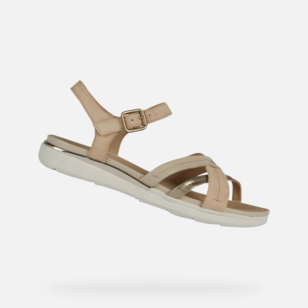 Sandalias Geox Senhora Bege Escuro - Hiver - VBKXR8302